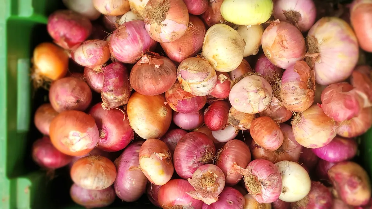 Cebollas y ajos sobre una tabla de cocina