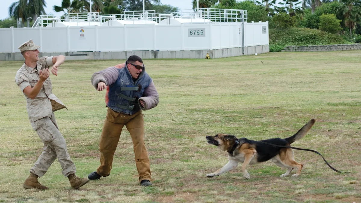 Mano de una persona haciendo una señal gestual a su perro