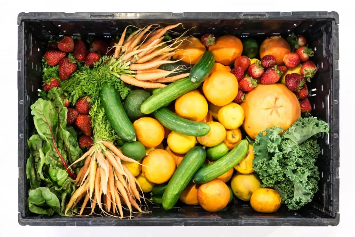 Caja con frutas y verduras frescas: zanahoria, pepino, fresas y hortalizas de hoja