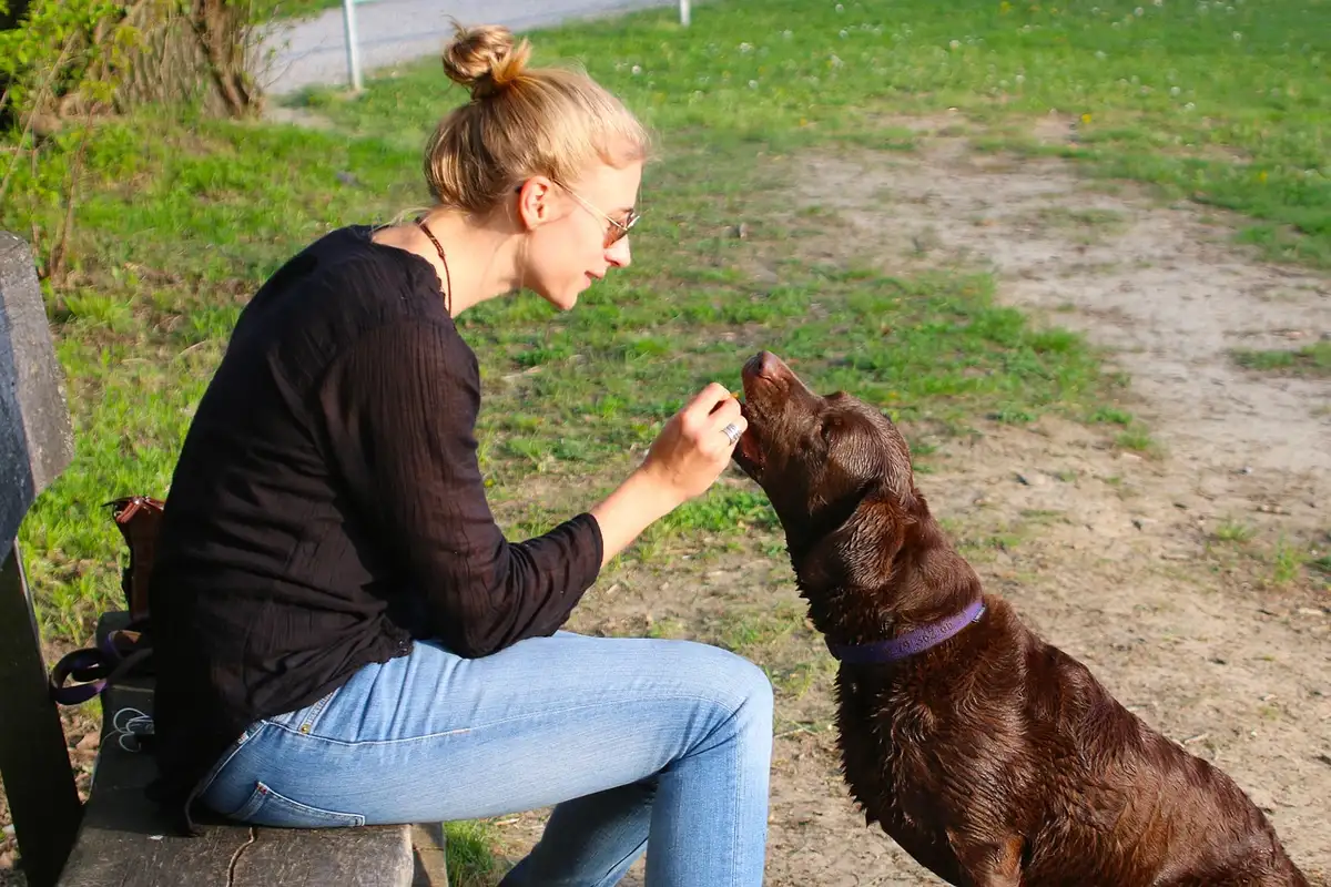 Mujer dando a mano un premio de comida a su perro en el parque