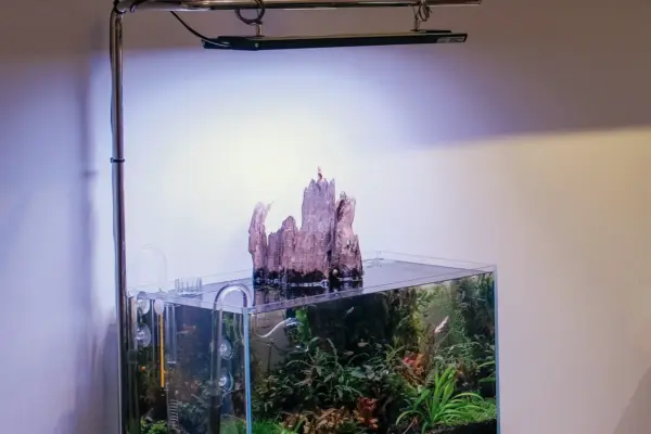 Pantalla LED fina colgada de un soporte de brazo iluminando un acuario plantado de agua dulce con un tronco que sobresale del agua