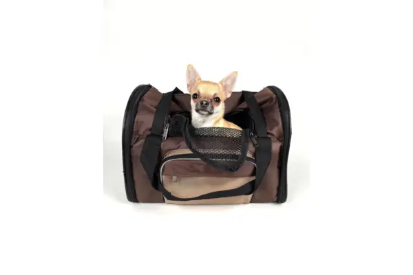 Chihuahua asomado dentro de un transportín de tela marrón