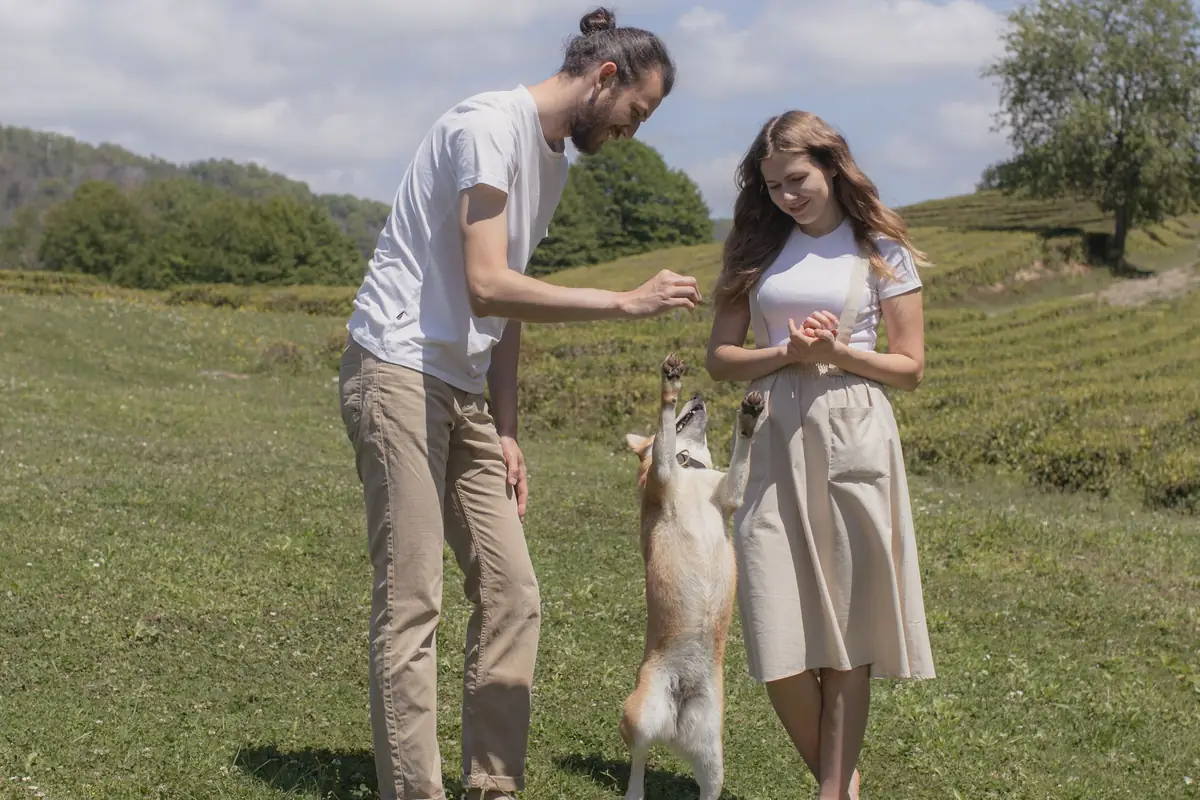 Perro saltando entre dos personas que juegan con él en un prado al aire libre
