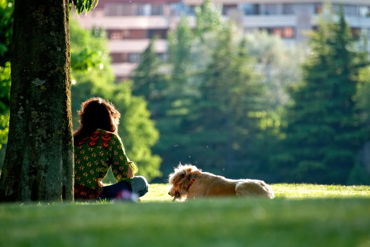 Perro descansando en la hierba junto a su dueña en un parque