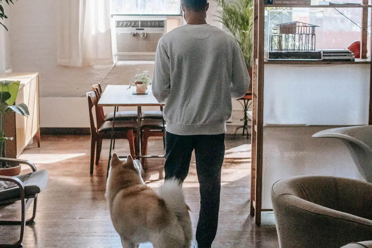 Persona saliendo de casa de espaldas mientras el perro la mira sin despedida